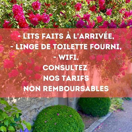 Le Lavoir Aux Roses By Gites Sud Touraine Chédigny Buitenkant foto