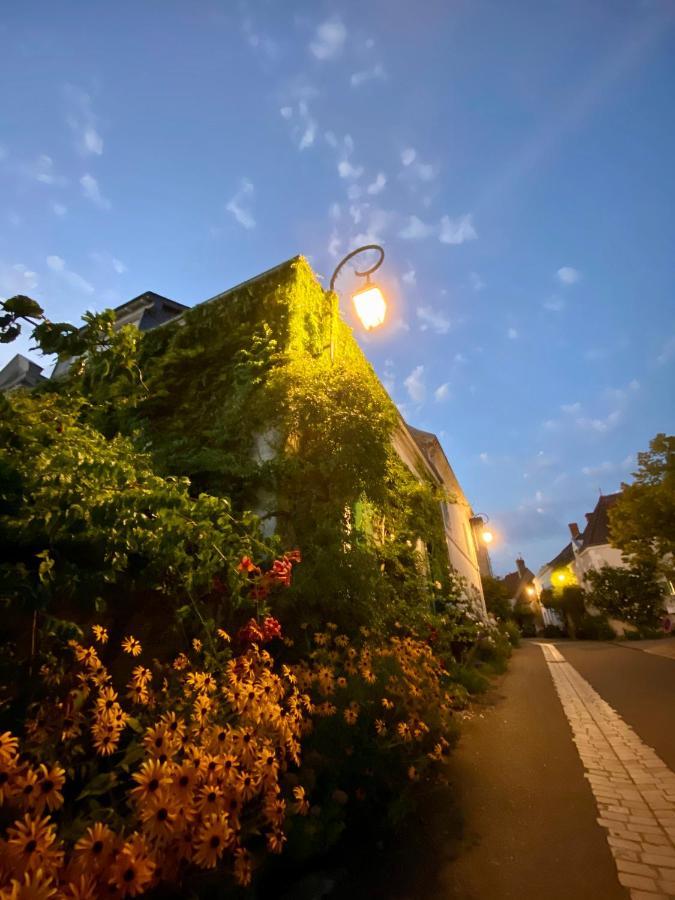 Le Lavoir Aux Roses By Gites Sud Touraine Chédigny Buitenkant foto