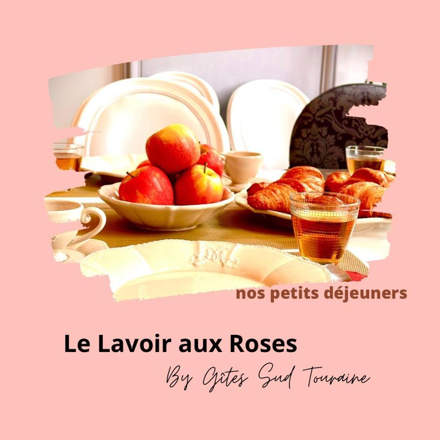 Le Lavoir Aux Roses By Gites Sud Touraine Chédigny Buitenkant foto